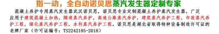 橋梁養(yǎng)護18kw小型蒸汽發(fā)生器簡介