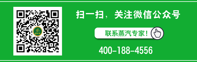 食品加工蒸汽發生器